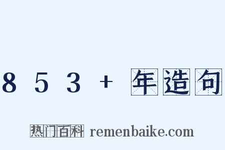 853+年造句是什么意思的图片